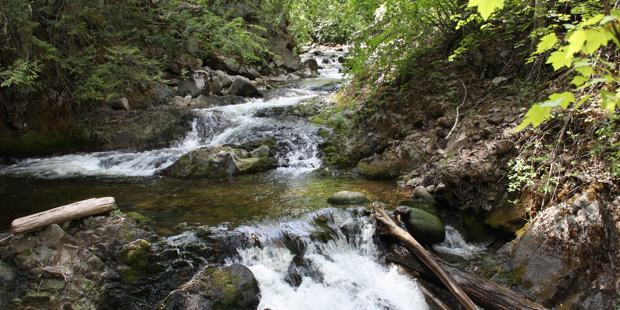 Cross Roads Creek